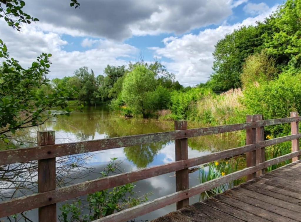 dyno renov Bernes-sur-Oise